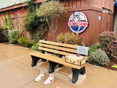 -Bubba Gump Shrimp