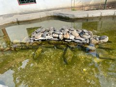 -红螺寺
