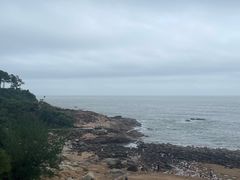 -广东惠东海龟国家级自然保护区