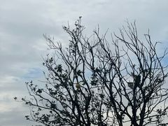 -中国天府农业博览园