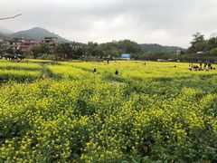 -红山村