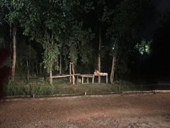 -清迈夜间动物园