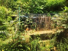 -柞水乾佑红门家菜