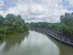 -东寨港红树林旅游区