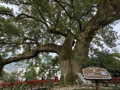 -新安江山水画廊风景区