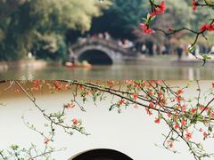 -棠湖公园