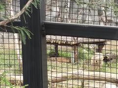 -武汉动物园