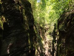 -牛背梁国家森林公园