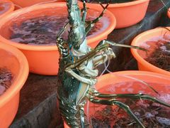 -幸福姐海鲜大排档