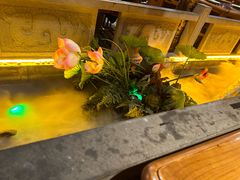-蜀江龙火锅(339店)