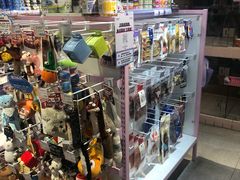 -FAELING PETS美天灵宠物(富力广场店)