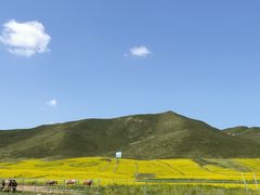 -扁都口生态休闲旅游区