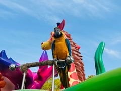 -上海野生动物园老虎餐厅