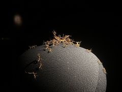 -深圳珠宝博物馆