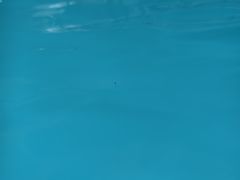 -温都水城·水梦奇缘