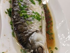 -常胜鲍鱼(吉大店)