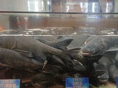 -上名堂·鱼头好吃(体育场路店)