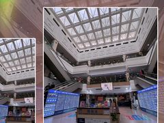 -上海市东方医院(总院)