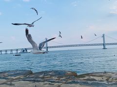 -星海广场