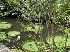 -上海滨江森林公园