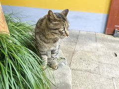 -龙华寺