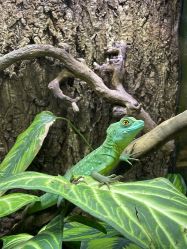 -酷嗒动物文化乐园(cutezoo西溪乐天城店)