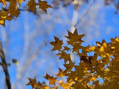 -玉渡山自然风景区