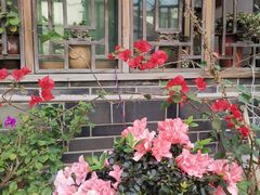 -王万妈卤猪脚(青岩交通路)