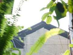 -山顶顶概念四川菜(黄埔大道店)