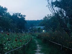 -江西景德镇玉田湖国家湿地公园