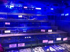 水产区-青蓬蒸汽海鲜·深圳老字号·团建聚会(壹方城店)