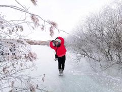 -乌兰布统草原
