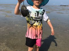 -红树林天天赶海