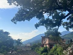 -杨家堂村