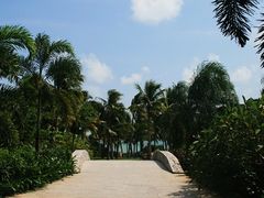 红树林大花园-三亚亚龙湾红树林度假酒店