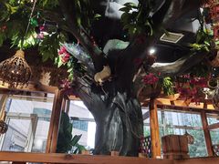 -草原塞蛮羊火锅城(港湾店)