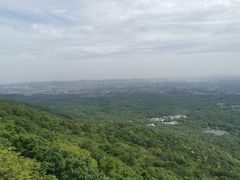 -紫金山山顶公园
