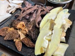 -蘑统田下·野生菌火锅