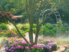 -上海共青森林公园