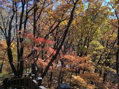 -本溪老边沟风景区