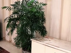 -宝燕壹号(徐汇店)