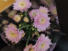 -万达广场(南京江宁店)