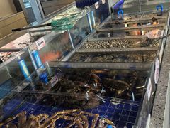 -船歌·鱼水饺青岛菜(闽江二路店)