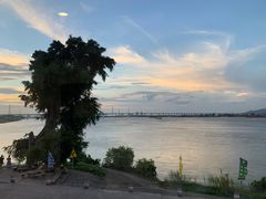 -八仔大富楼·河鲜(西江店)