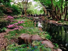 -上海共青森林公园