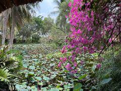 -Mekong Rest Stop