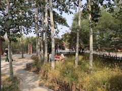 -北京麋鹿生态实验中心