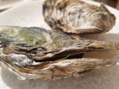 -钓鱼岛洗浴休闲会馆(卫星路店)