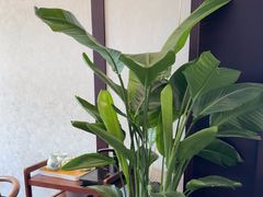 -恒记饭店·海鲜明档(淹城店)