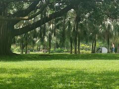 -东莞植物园